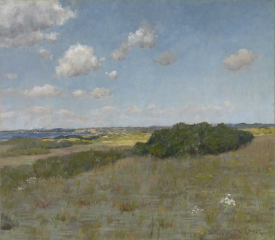 Sonnenlicht und Schatten, Shinnecock Hills von William Merritt Chase